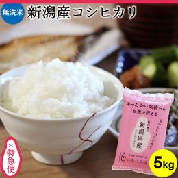 新潟のお米専門店-いなほんぽ- / 特急便 新潟産新之助 5kg【令和