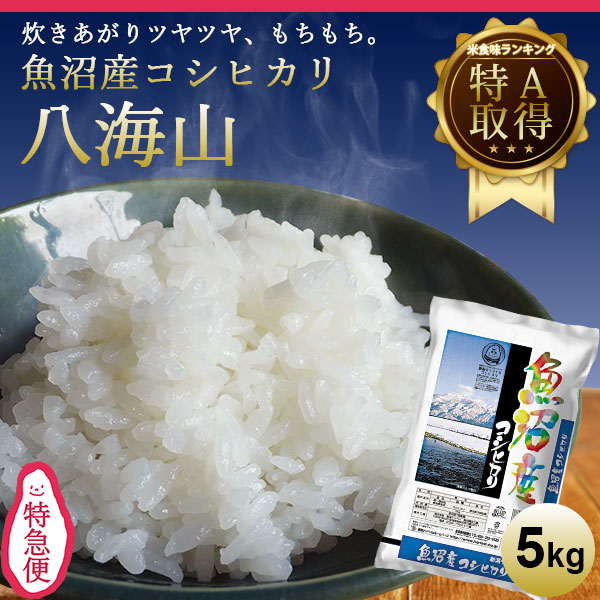 特急便 魚沼産コシヒカリ八海山 5kg【令和7年産】