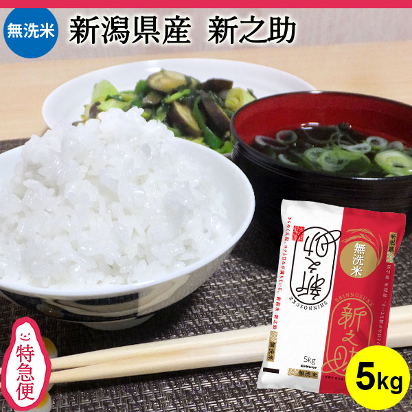 特急便 新潟米 【無洗米】新潟産新之助5kg【令和7年産】