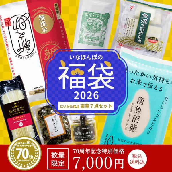 【先着500個限定!なくなり次第終了】福袋にいがた銘品豪華7点セット
