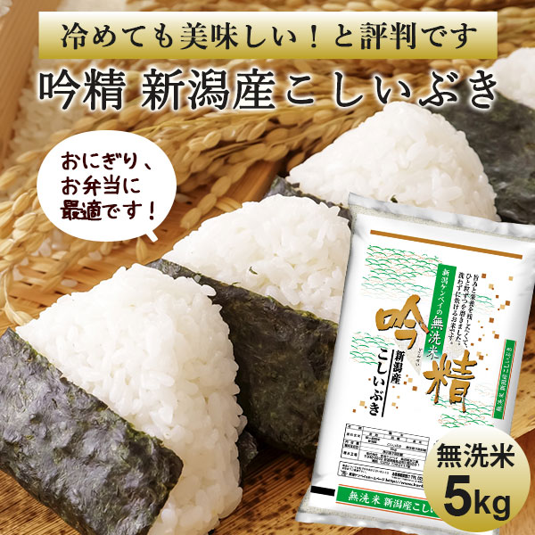 無洗米こしいぶき