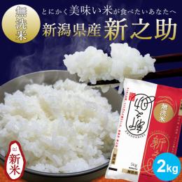 新潟米 新潟産新之助5kg|お米通販店【いなほんぽ】