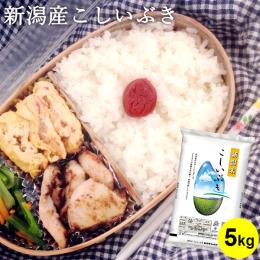 【すぴ・LOVE様】新米！新潟産コシヒカリ＋こしいぶき30Kｇ 1月以降出荷予定】令和6年産新米 新潟県産『コシヒカリ』6kgと