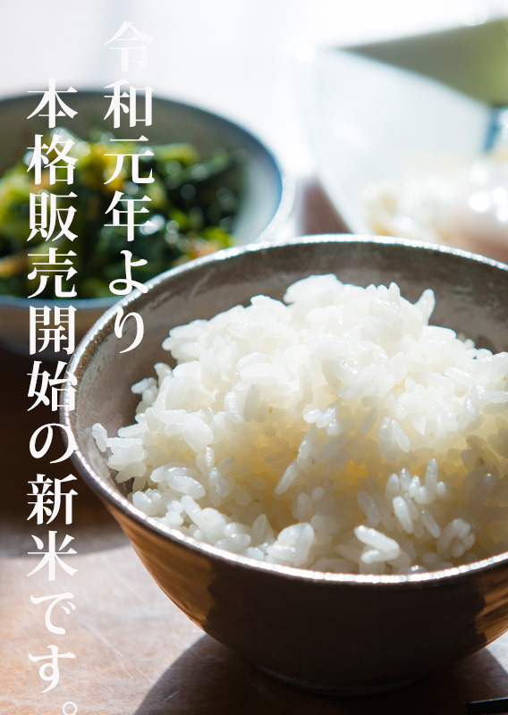 みのり様専用 昆虫標本 minri様専用 みのり様専用 みのり様専用 昆虫標本