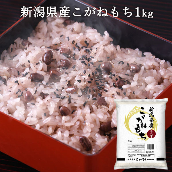 新潟のお米専門店-いなほんぽ- / こがねもち精米 1kg
