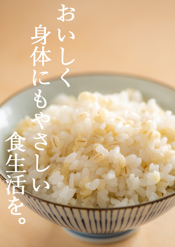 新潟のお米専門店-いなほんぽ- / 戸頭大麦屋 新潟産もち麦(600g)