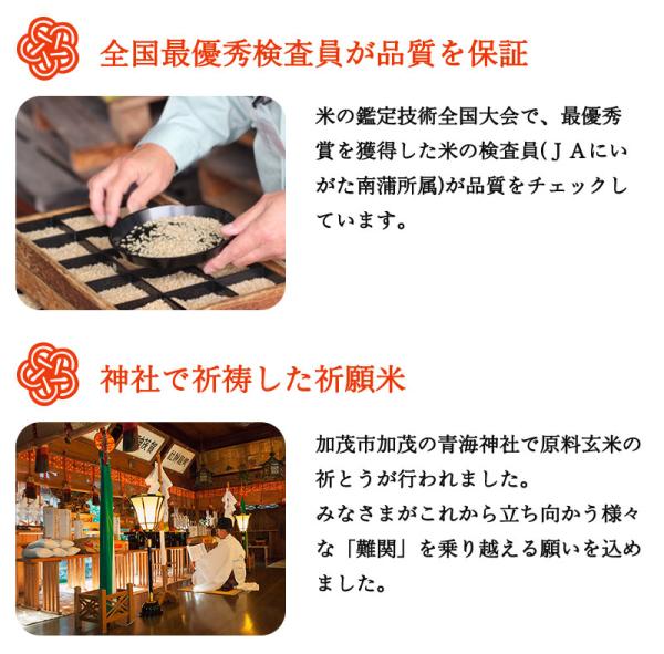 新潟のお米専門店-いなほんぽ- / 難関突破米 300g×3個セット 特別栽培米新潟産コシヒカリ 贈答用箱入り・手提袋付き