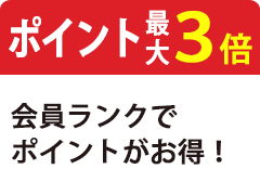ポイント最大3倍