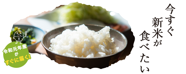 今すぐ新米が食べたい!