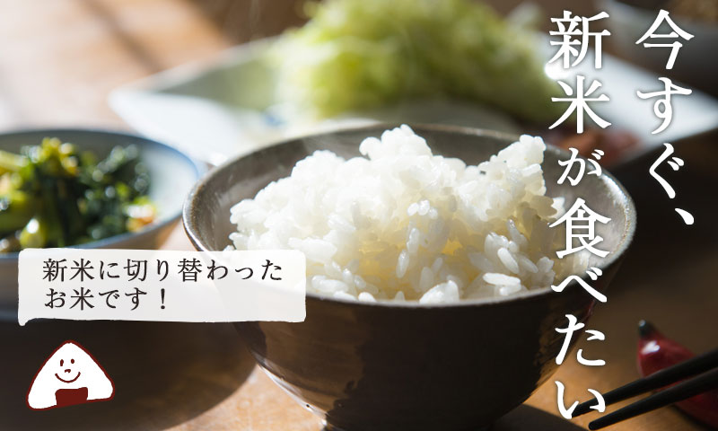 今年も新米の季節がやってきました