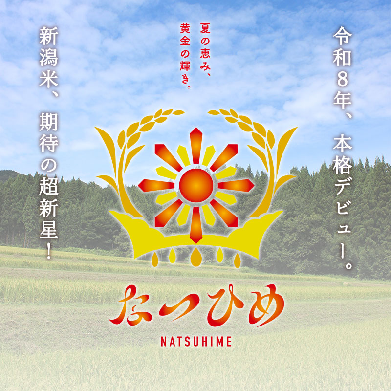 つきあかり