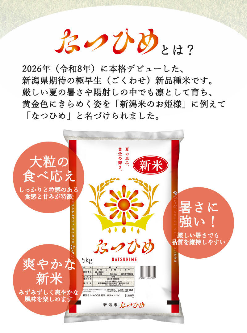 新つきあかり