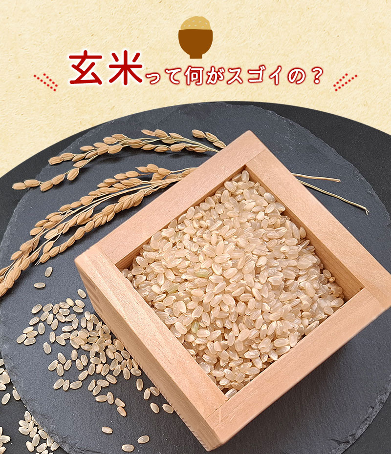 玄米