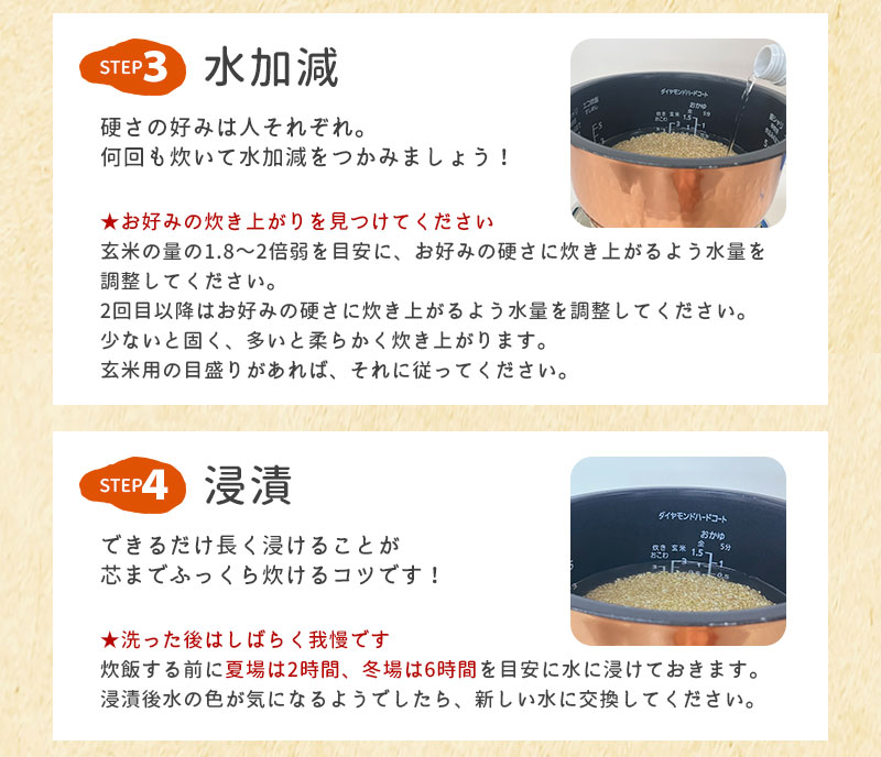 玄米