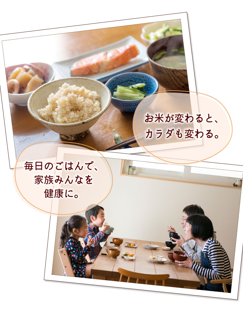玄米