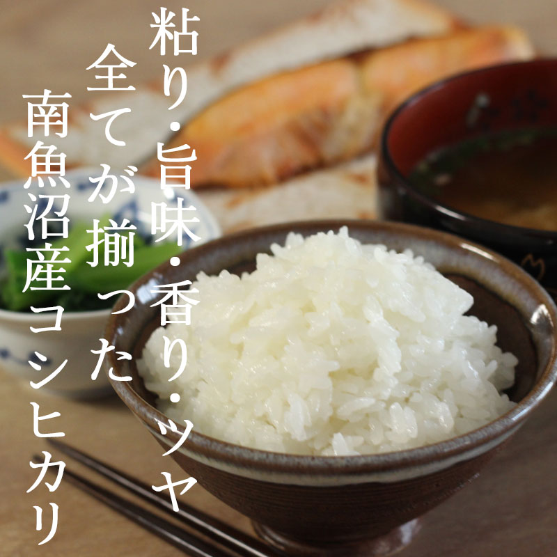 無洗米セット6