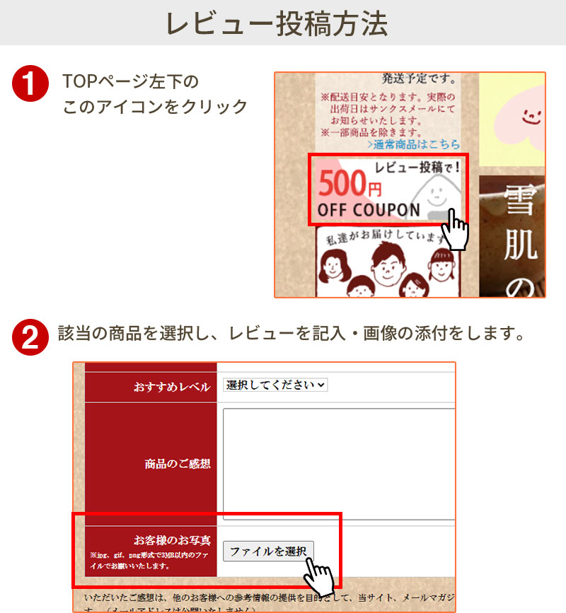 レビュー投稿