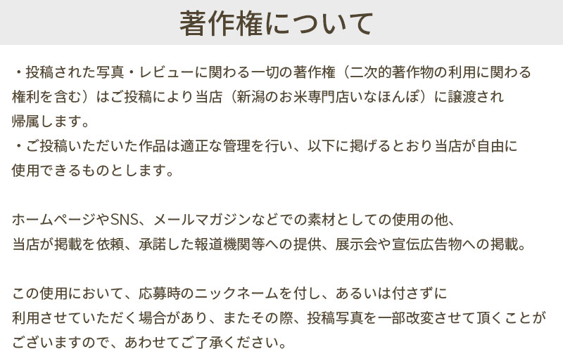 レビュー投稿