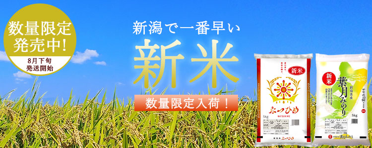 8月新米