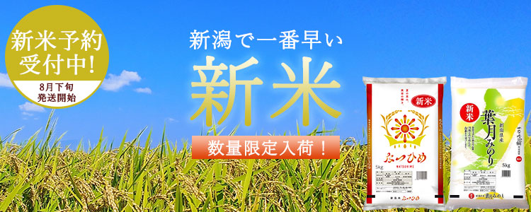 8月新米