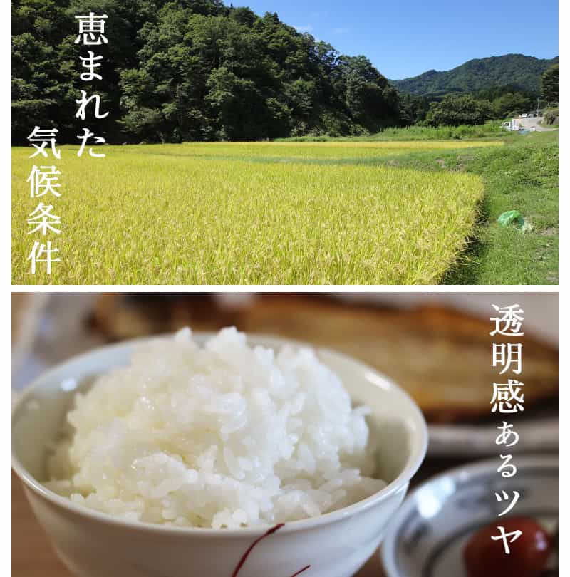 令和6年産 コシヒカリ 新米販売中🌾✨ 精米したお米は5kg・10kg・27kg 玄米は30㎏で販売しております！ 産直アウルさんでも販売中✨ # コシヒカリ #新米 #令和6年産新米 #香川県 #東かがわ市 #東かがわ産 #米農家 #農家 #新米販売 #新米販売中
