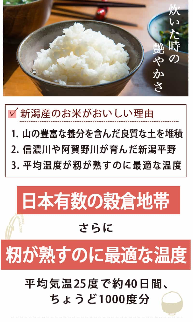 新潟のお米専門店-いなほんぽ- / 新潟米 新潟産コシヒカリ 竹 新潟のお米専門店-いなほんぽ- / 新潟米 新潟産コシヒカリ 竹