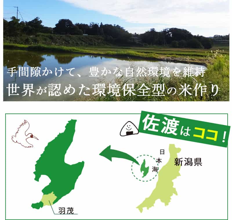新潟のお米専門店-いなほんぽ- / 米物語 佐渡産コシヒカリ 5kg