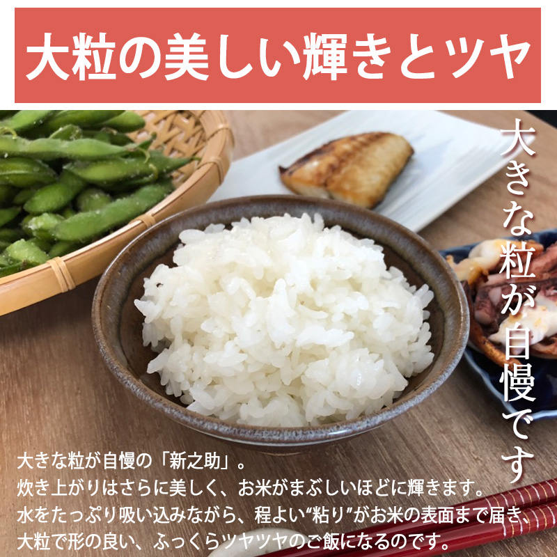 再入荷】お試しに！リンゴのようなお味！沖縄産インドナツメ無
