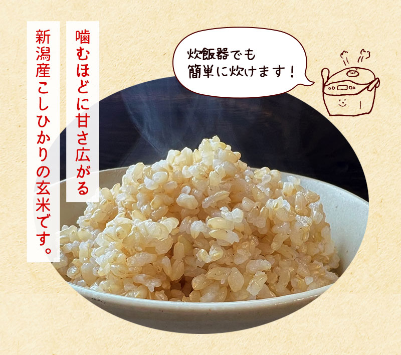 新潟のお米専門店-いなほんぽ- / 【5月お買い得品】玄米 新潟県産