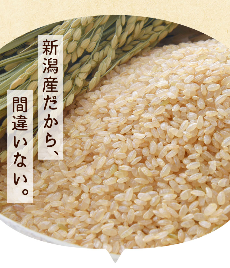 令和７年　新潟産コシヒカリ　玄米20Kg　おいしいよ～ コシヒカリ 米 魚沼産 令和7年 玄米20kg 新潟魚沼産 南魚沼 しおざわ産