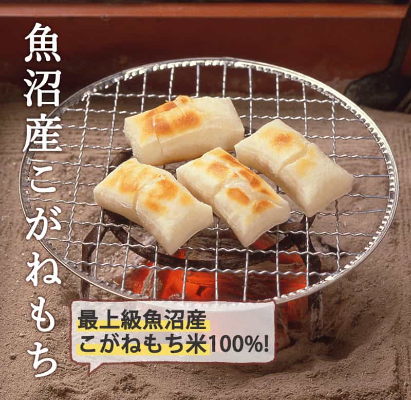 新潟のお米専門店-いなほんぽ- / 【売り尽くし大特価!!】魚沼産こがね