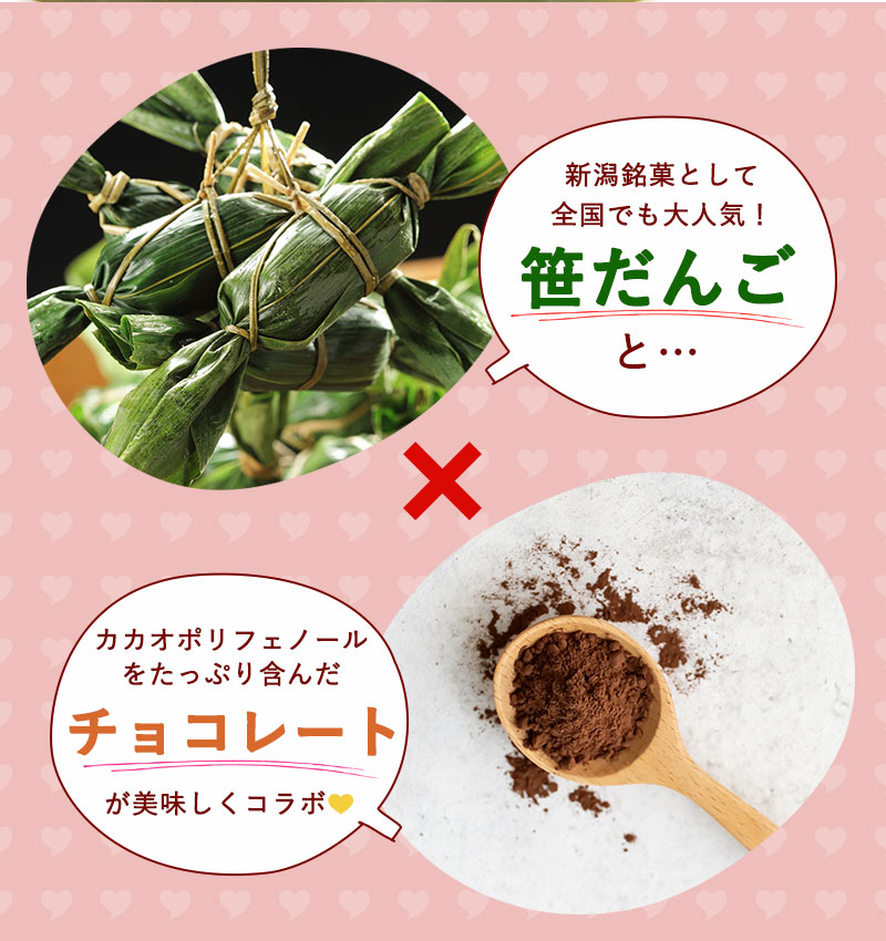 新潟のお米専門店-いなほんぽ- / 冷凍チョコレート笹だんご12個入り(3