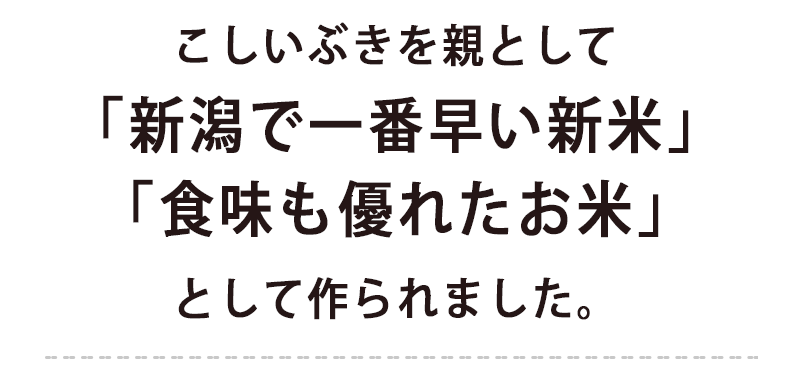 新潟のお米専門店-いなほんぽ- / 【令和7年産新米予約☆8月下旬