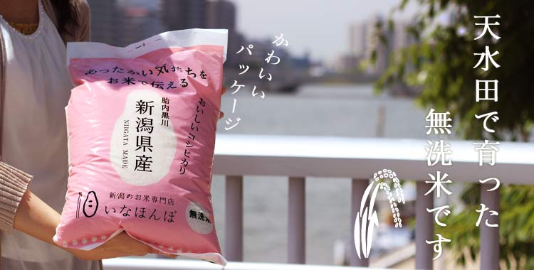 にゅじページです　コシヒカリ無洗米15キロ 新潟のお米専門店-いなほんぽ- / 特急便 オリジナル無洗米新潟産