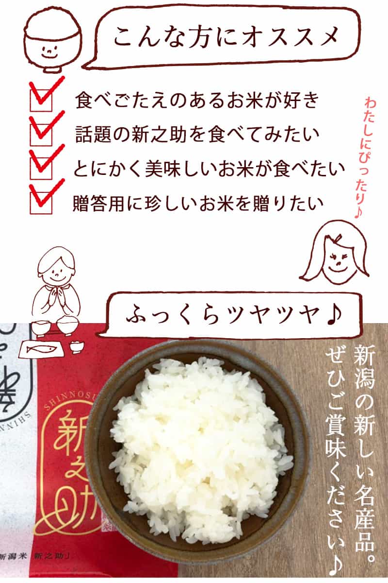 新潟のお米専門店-いなほんぽ- / 【7月お買い得品】新潟産新之助5kg