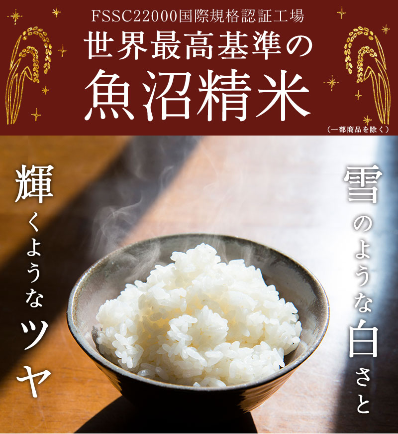 新潟のお米専門店-いなほんぽ- / 新潟米 【無洗米】新潟産新之助5kg